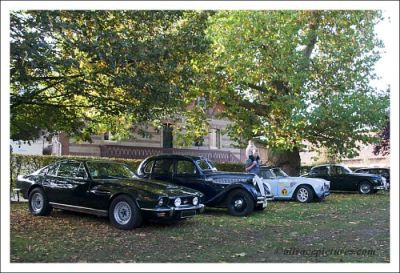 Parking Classic Cup