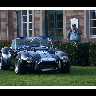 Shelby Cobra