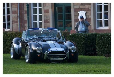 Shelby Cobra